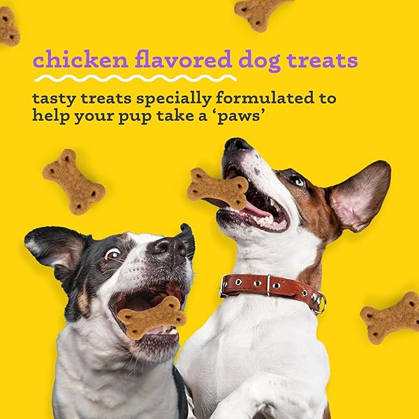 WAGS & WIGGLES SIMMER DOWN CALMING TREATS FOR DOGS, CHICKEN FLAVOR, 5.5 OZ RESEALABLE BAG | HELPS MAINTAIN RELAXATION | FUNCTIONAL TREATS FOR DOGS WITH LAVENDER AND CHAMOMILE