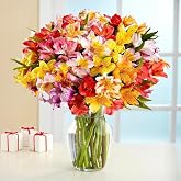 BloomsyBox. 24 Multicolored Alstroemeria Bouquet Flowers, Long Lasting &amp; Hand-Tied, Farm Fresh Cut Flowers Bouquet - Gift for Birthday, Anniversary, Mothers Day Flowers | No Vase |