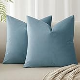 JUSPURBET Light Blue Throw Pillow Covers Set of 2 Decorative Velvet Pillow Covers for Couch Sofa Bed Soft Cushion Covers Cases with Invisible Zipper for Living Room Home Decor 16x16 inch