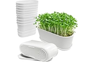 Torfican Window Box Planter with Saucers,10 Sets Rectangular Planter with Multiple Drainage Holes and Trays Plant Pots, for Succulent Cactus Flowers Vegetable