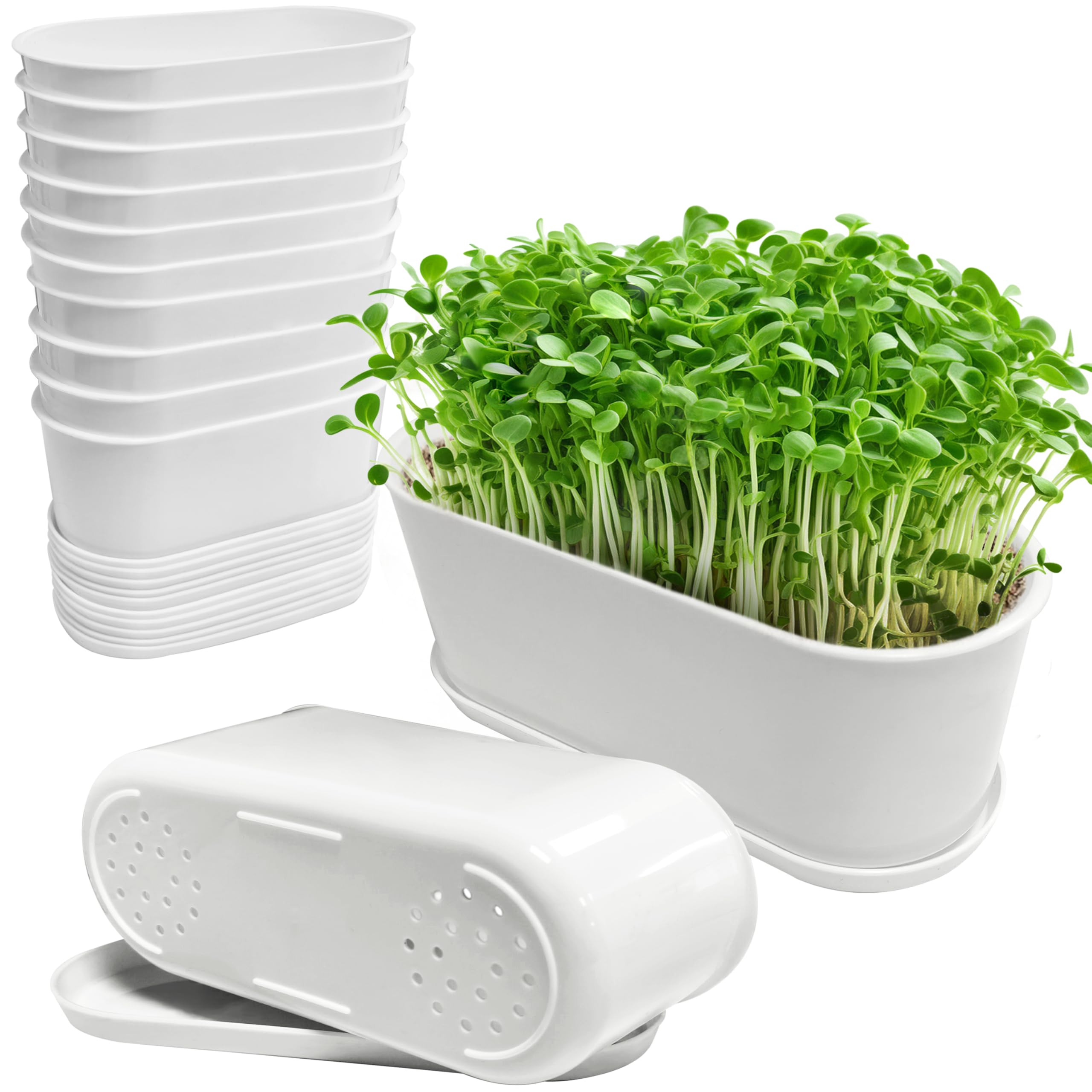 Photo 1 of Torfican Window Box Planter with Saucers,10 Sets Rectangular Planter with Multiple Drainage Holes and Trays Plant Pots, for Succulent Cactus Flowers Vegetable