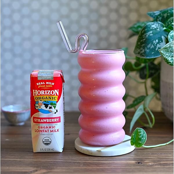 HORIZON ORGANIC SHELF STABLE 1% LOWFAT STRAWBERRY MILK BOXES, PACK OF 12 – 8G PROTEIN PER SERVING