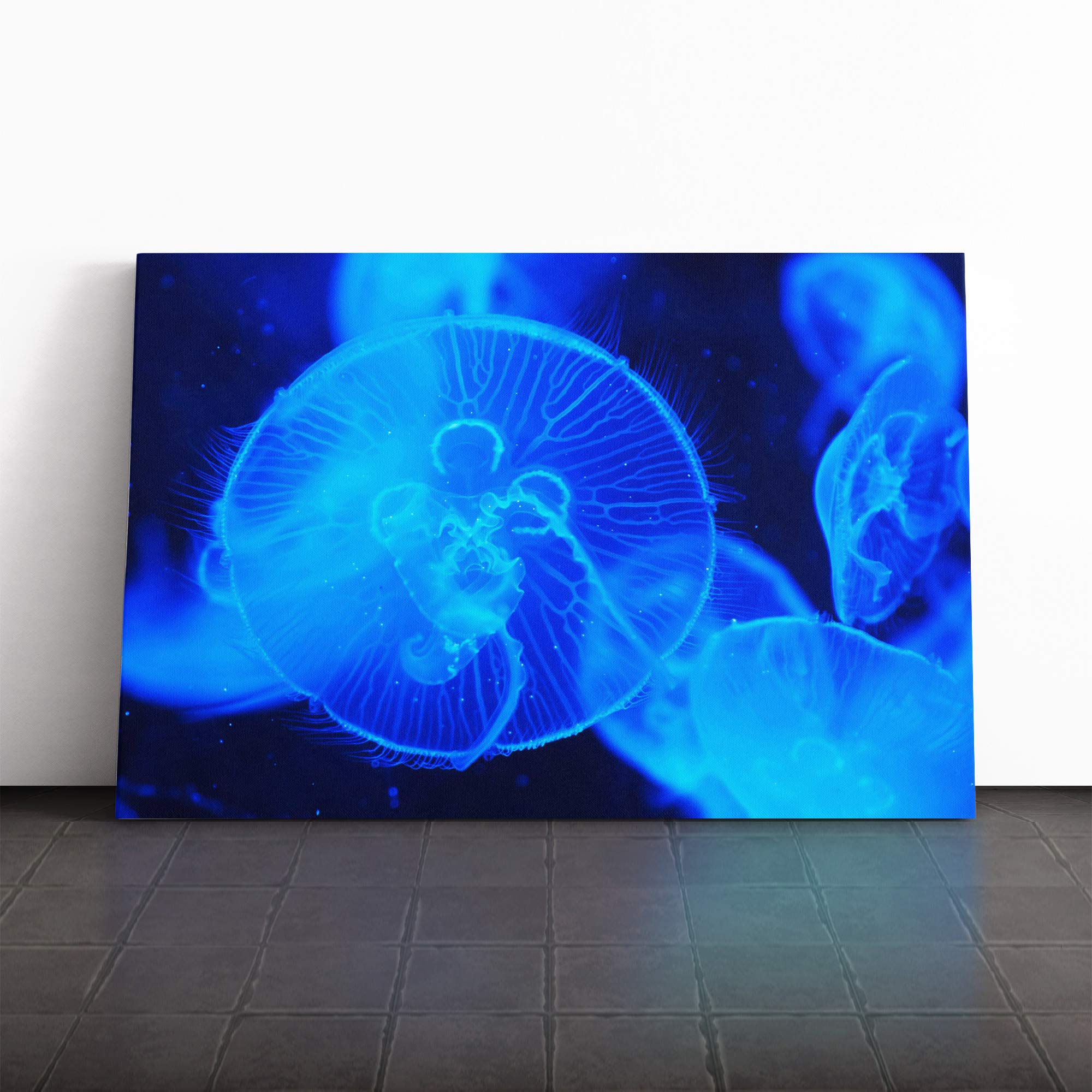 Jellyfish (4) Canvas Print | Gallery Wrapped 30mm Frame Wall Art | 20x14 inches | Ready to Hang | Modern Picture | Living Room Bedroom Lounge Office