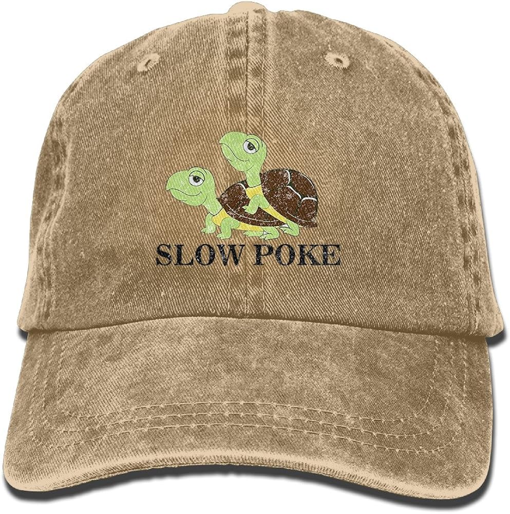 two turtles one hat