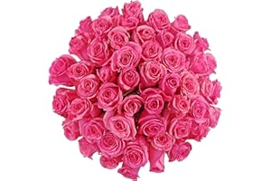 Benchmark Bouquets - 50 Stem Premium Pink Roses (2 Bundles of 25; Vase Not Included) - Fresh Flowers for Delivery - Gift for Birthday, Anniversary, Sympathy, Get Well, Congratulations, Thanksgiving