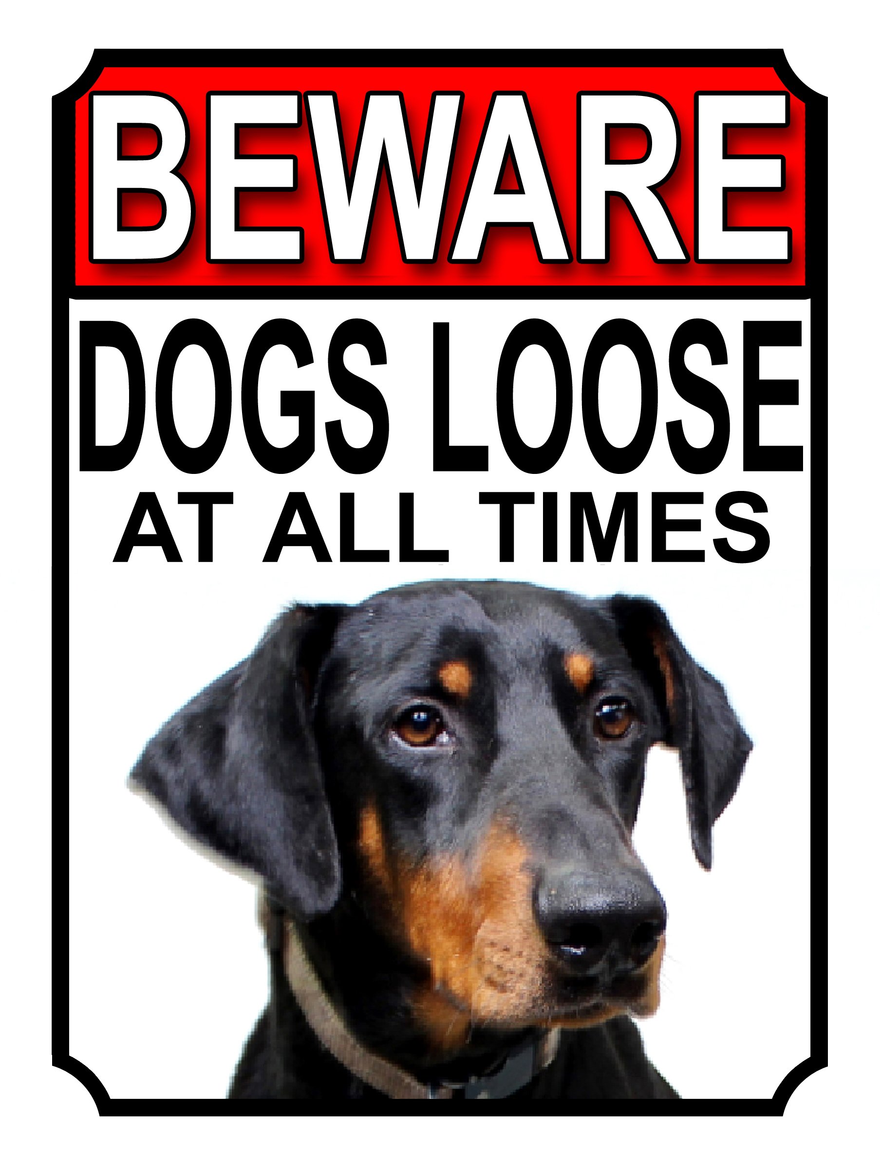 SHAWPRINT BEWARE DOGS LOOSE AT ALL TIMES METAL SIGN DOBERMAN PINSCHER 200MM X 150MM (993H1)