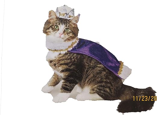 target pet supplies cat