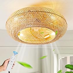 20" Boho Ceiling Fans with Lights and Remote