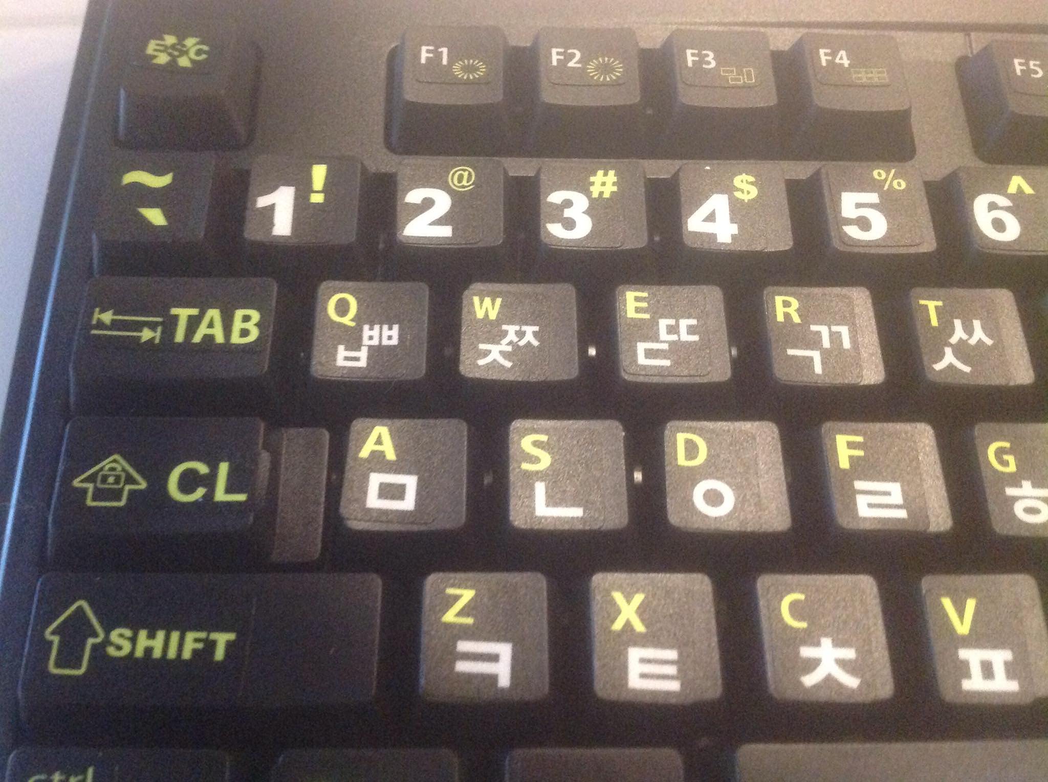Korean Keyboard Stickers with Bold Bright Inlays. Large Symbols Will Not Wear, Smudge or Fade. Korean Conversion for All Laptop and Desktop Keyboards. Free Wallet/Purse Sized Magnifier