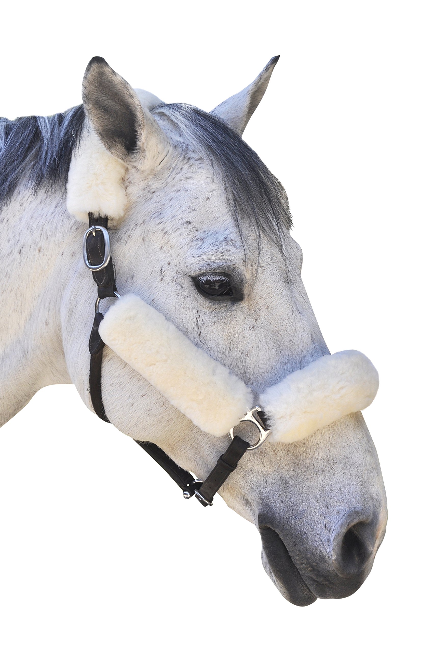 ECP Equine Comfort Products Merino Sheepskin Halter Fleece Set for Horses, 100% Natural Wool, Chafe Protection, Breathable Relief & Cushioned Comfort, Machine Washable, 4-Piece Set, Cream