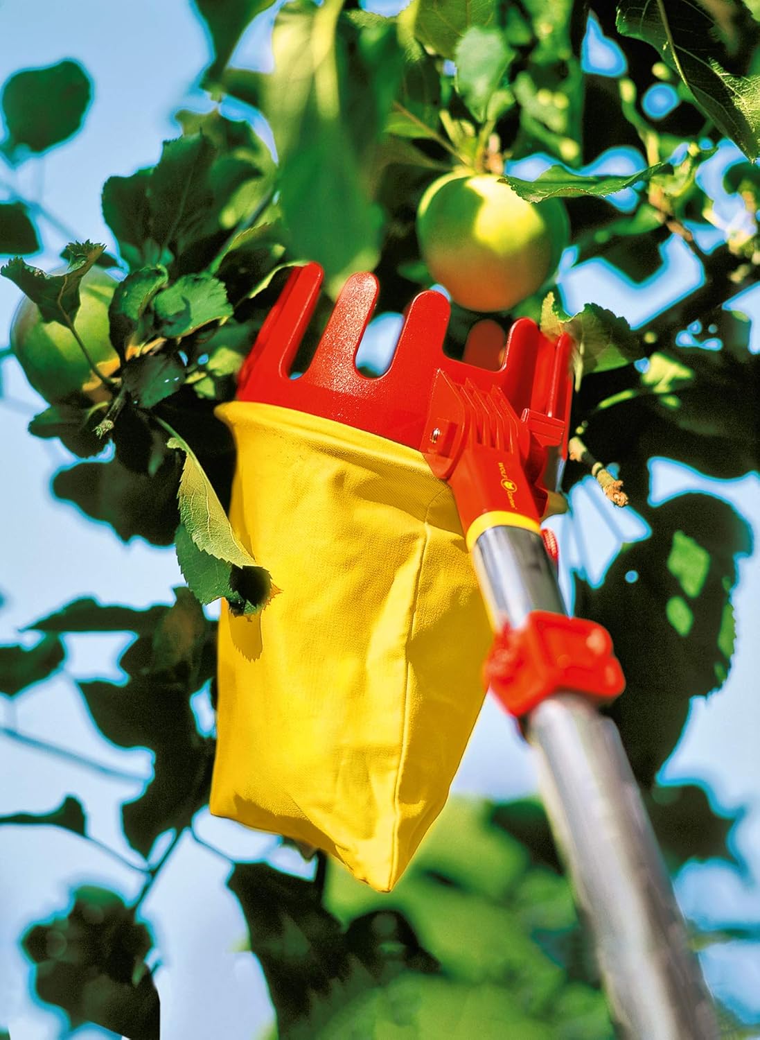 Amazon Com Wolf Garten Rgm Multi Change Adjustable Fruit Picker Tree Care Tool Head Red Garden Outdoor