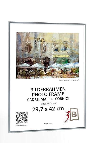 3-B Set 2 Stk. - Bilderrahmen ALU FOTO 20x25 cm - silber matt - Wechselrahmen, Fotorahmen mit Acrylglas. Sparpaket!