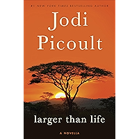 Larger Than Life (Novella) (Kindle Single) book cover