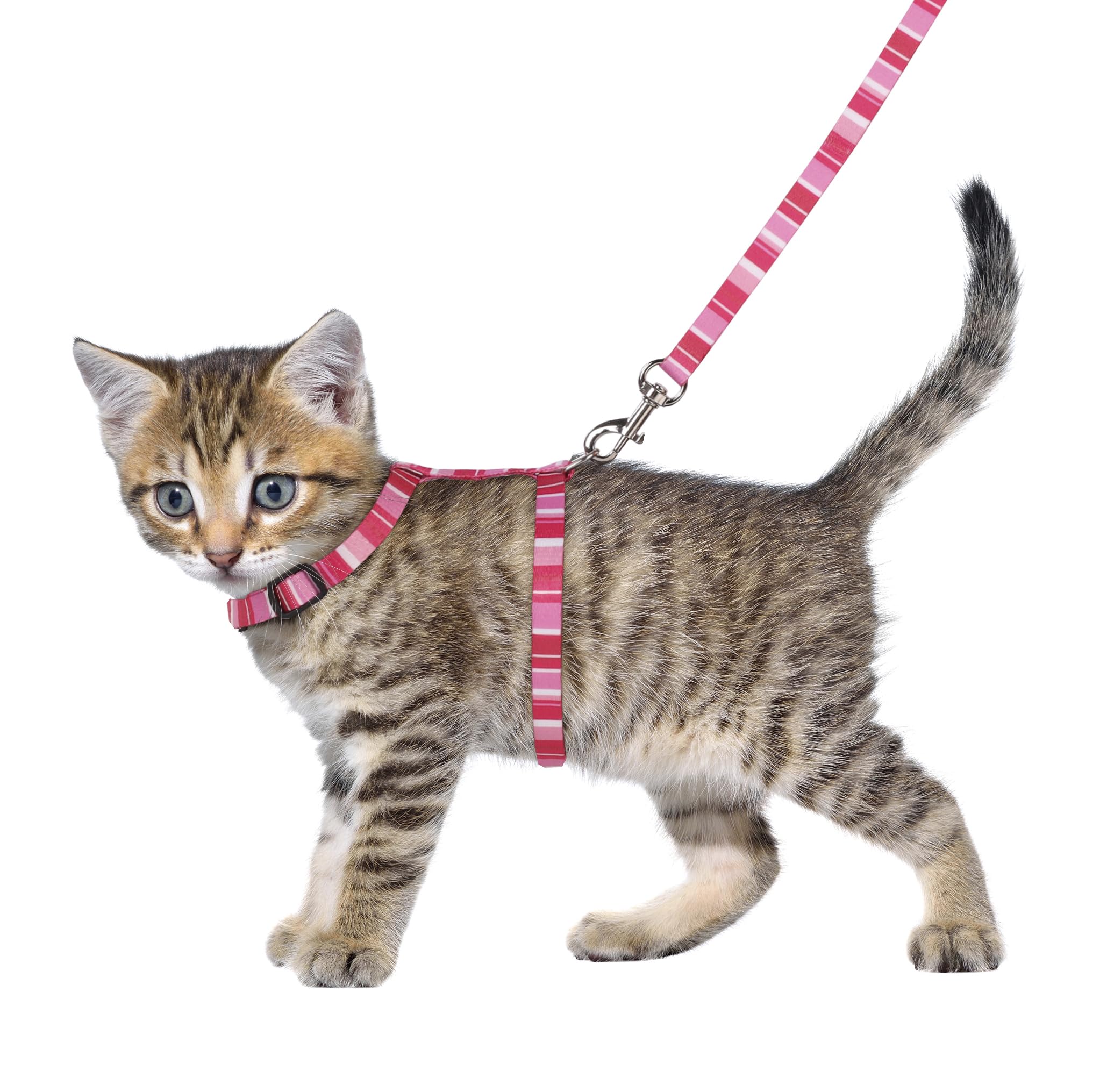 Flamingo Cat Harness with leash Kitten Alfry Multiple colours 15-25cm 20-35cm 100cm 10mm