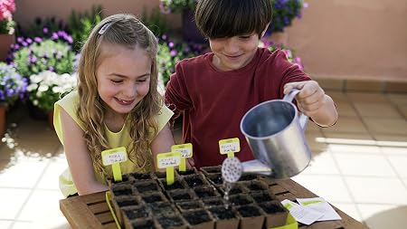 SEMBRA - juego educativo, Kit huerto Verduras de invierno: Amazon ...