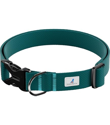 Galguita Amelie Martingale Halsband Für Hunde Rainbow Größe S – Sicher, Verstellbar 20-29 Cm