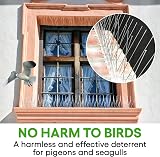 Anytime Garden Bird Spikes Pigeon Seagull Repellent Stainless Steel 3m Made view 3