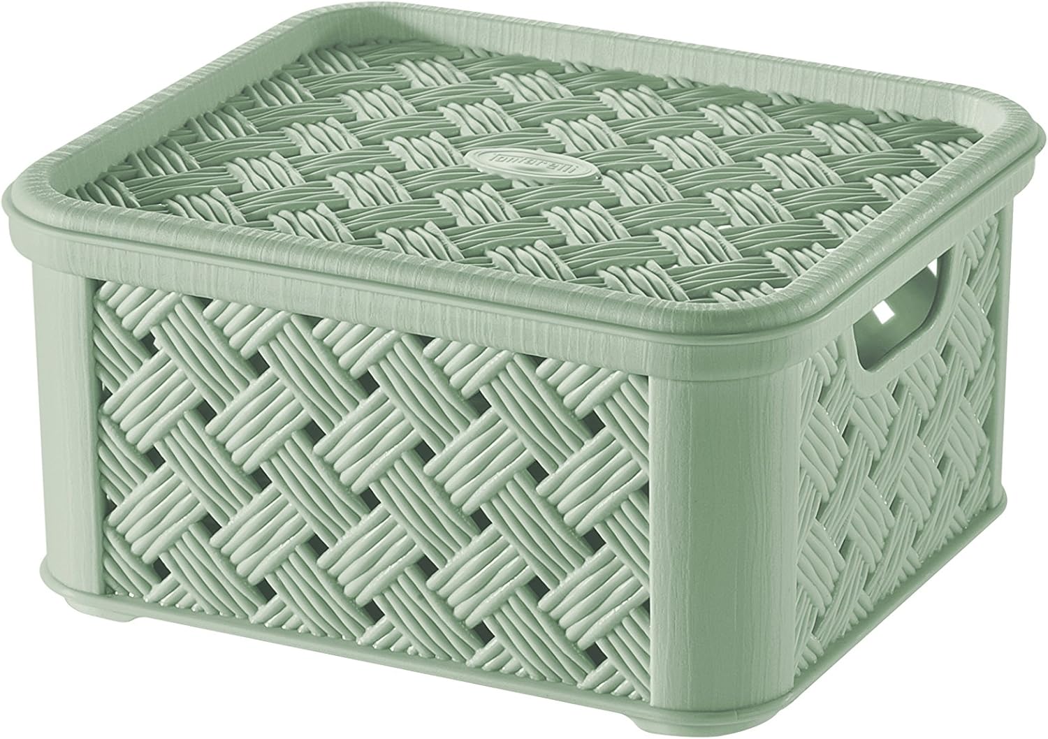 Tontarelli Set Caja de Almacenamiento 12 Uds. Arianna 1.4 lt: Amazon.es: Hogar
