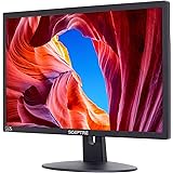Sceptre E225W-19203R 22" Ultra Thin 75Hz 1080p LED Monitor 2x HDMI VGA Build-in Speakers, Metallic Black 2018