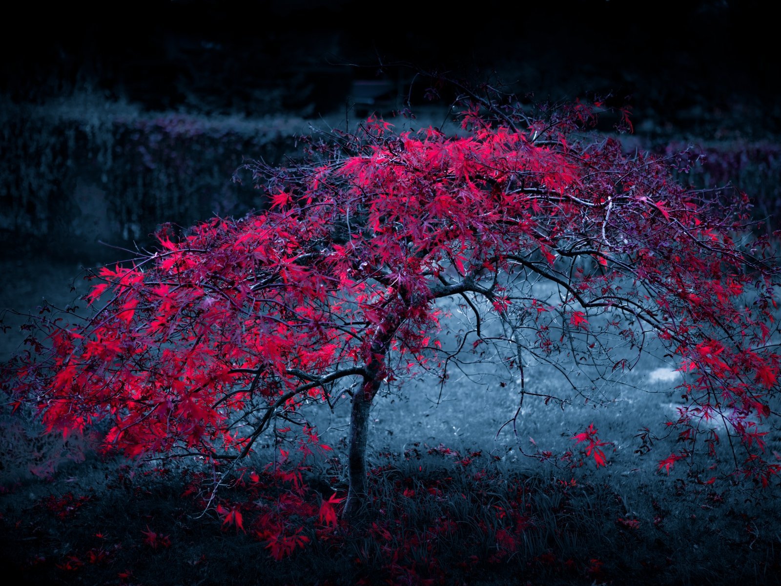 Audio connector jack, stereo, plastic, 2.5 mm, 610127