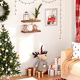 HOOBRO Floating Shelves Set of 2 40 cm Wall Mounted Rustic Brown EBF40BJ01 view 4