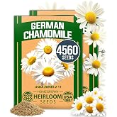HOME GROWN German Chamomile Seeds, 4,560 Seeds, Matricaria chamomilla | High Germination, Heirloom, Non-GMO | 4,560 Seeds (2,280 Each, 2 Pack) | Sustainable Gardens | Soothing Medicinal Herbal Teas