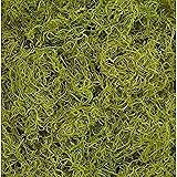 Shinoda Design Center Preserved & Dyed Chartreuse 1 lb Bag Faux Spanish Moss
