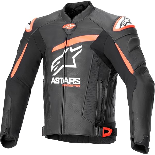 Amazon.com: Alpinestars Faster V2 Leather Jacket 48, Black/Red