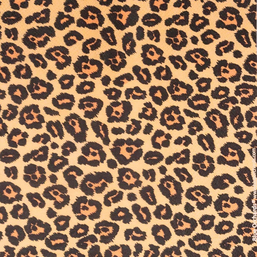 Leopard Print Party Supplies Pack (113+ Pieces for 16 Guests!), Leopard Party, Cheetah Print Tableware: Health & Personal Care
