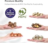 GreenBrokers 5 Month Flowering Collection Bulbs for Spring Garden view 4
