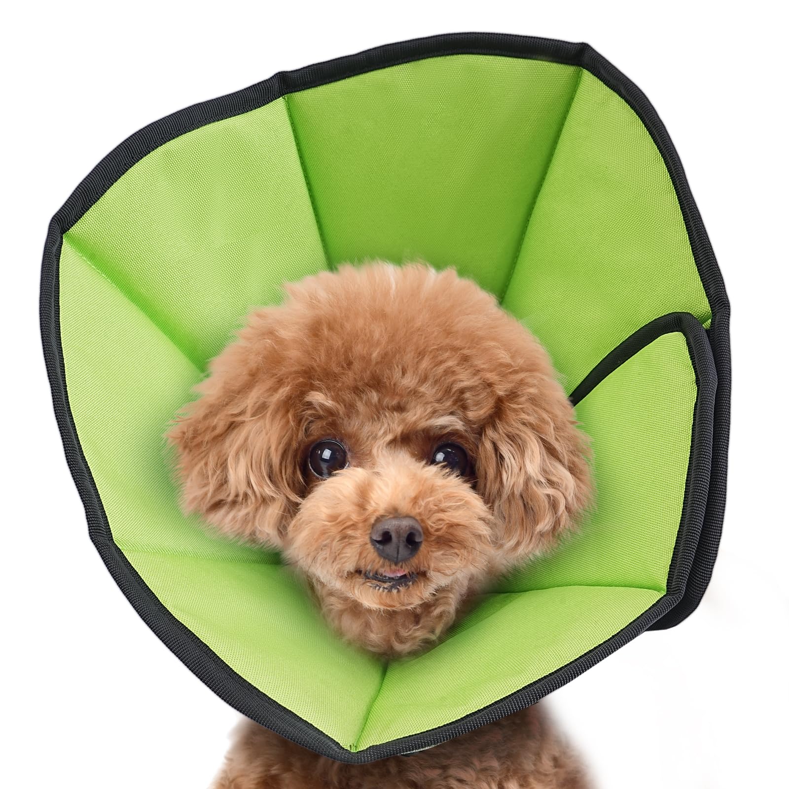 Photo 1 of Soft Dog Cone After Surgery: Comfortable Dog Cones Collar for Stop Licking Biting - Adjustable Elizabethan Collar for Dogs fit for Small Medium Large Dogs (Green, S)