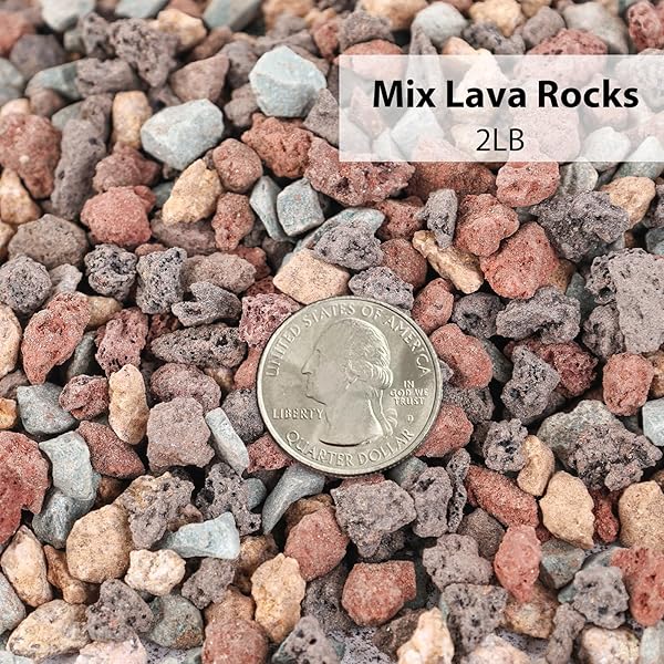 JOHOUSE 2LB HORTICULTURAL LAVA ROCKS, MIX ROCKS FOR PLANTS DECORATIVE PEBBLES FOR VASE FILLERS GARDENING TOP DRESSING CACTUS POTS INDOOR PUMICE POTTING SOIL AMENDMENT PLANT DRAINAGE