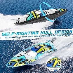 DEERC Brushless Remote Control Boat, 30+ mph Racing