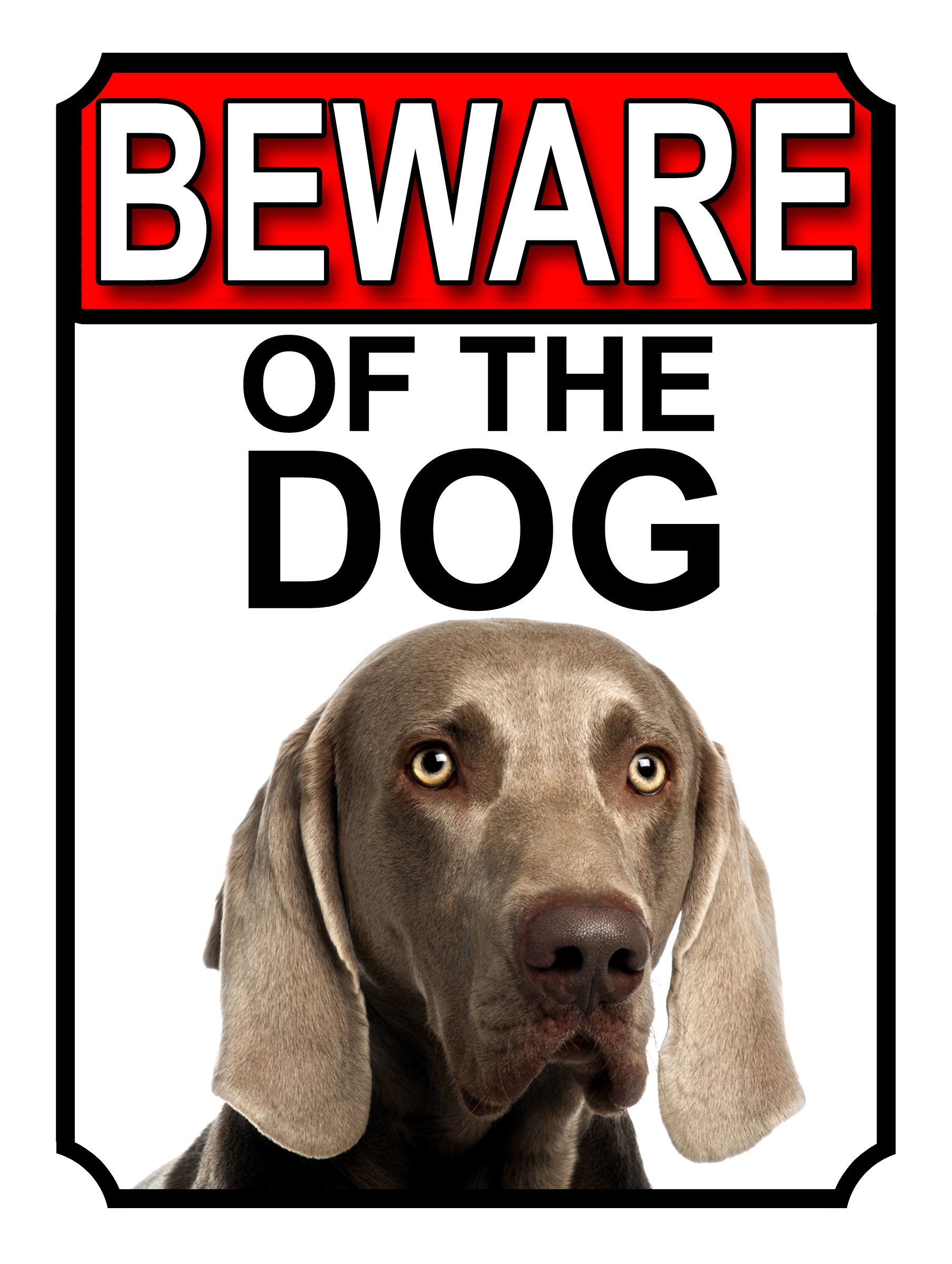 Shawprint Limited BEWARE OF THE DOG METAL GATE SIGN WEIMARANER 200MM X 150MM (1160H1)