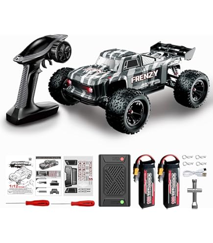 Amazon.com: HPI Racing 109083 RTR Savage X 4.6 2.4Ghz RTR Camión