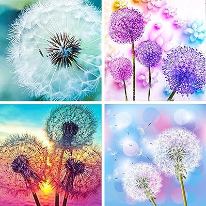 HaiMay 4 Pack DIY 5D Diamond Painting 