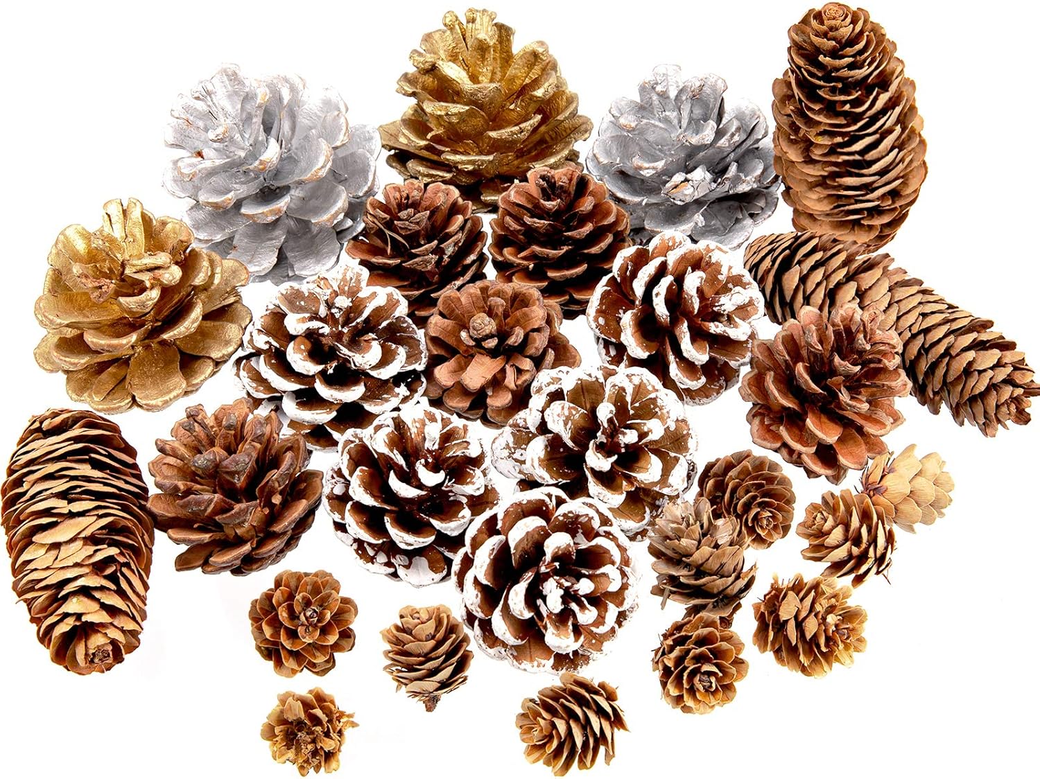 Whaline 27Pcs Christmas Pine Cones Natural Pinecones Silver Gold Snow Pin Cones Spruce Pine Cones for Crafts Gift Holiday Home Party Decoration, 6 Styles, Assorted Sizes