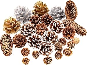 Whaline 27Pcs Christmas Pine Cones Natural Pinecones Silver Gold Snow Pin Cones Spruce Pine Cones for Crafts Gift Holiday Home Party Decoration, 6 Styles, Assorted Sizes