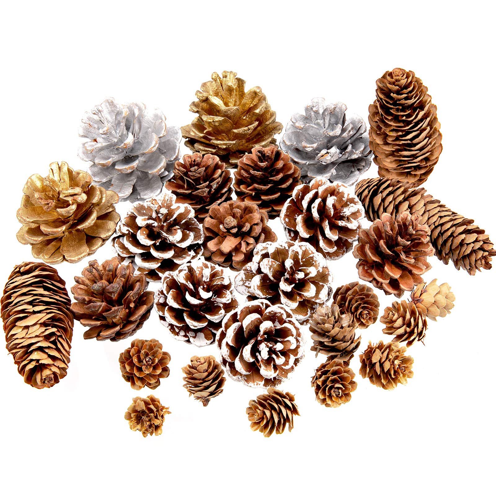 Whaline 27Pcs Christmas Pine Cones Natural Pinecones Silver Gold Snow Pin Cones Spruce Pine Cones for Crafts Gift Holiday Home Party Decoration, 6 Styles, Assorted Sizes