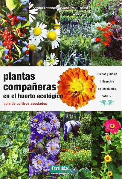 Plantas compañeras del huerto: guía de cultivos asociados: 16 ...