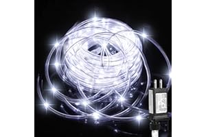 PUHONG (New) Rope Lights, 33FT 100LED 8 Modes Outdoor Tube Lights, IP65 Weatherproof Copper Fairy String Lights for Garden Porch Yard Home Wedding Vacation Party New Year Holiday Decoration - White