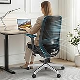 ErgoSift Ergonomic Office Chair - High-Back Mesh Desk Chair with Adjustable Lumbar Support 4D Armrests for Long Hours Sitting Black