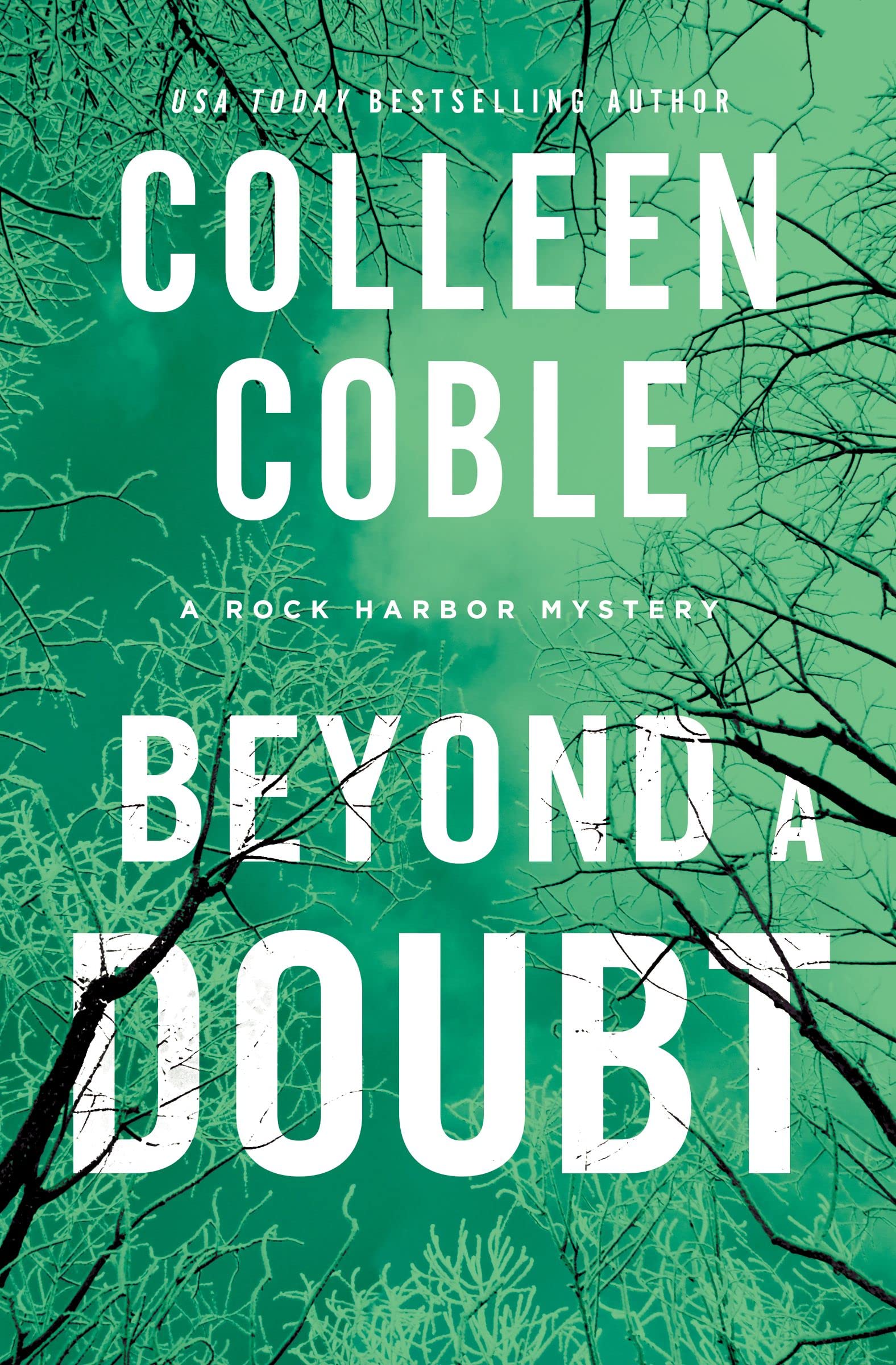 Beyond a Doubt (Rock Harbor Series Book 2) Beyond a Doubt (Rock Harbor Series Book 2) Kindle Paperback Audible Audiobook Hardcover MP3 CD