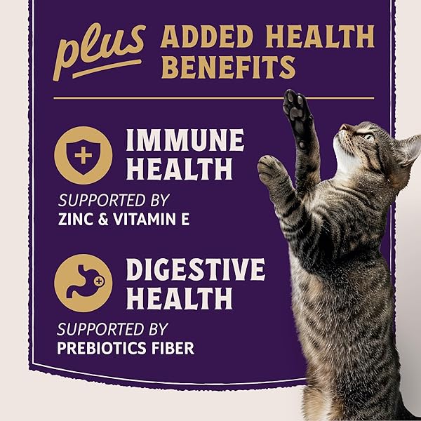 NATURAL BALANCE ULTRA PROTEIN PLUS WET CAT FOOD, IMMUNE & DIGESTIVE HEALTH REAL CHICKEN WITH PUMPKIN PUREE TOPPER WITH CHICKEN LIVER & CHICKEN HEART, HIGH PROTEIN CAT FOOD – 2.4 OZ.