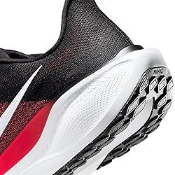 Men's Pegasus 41