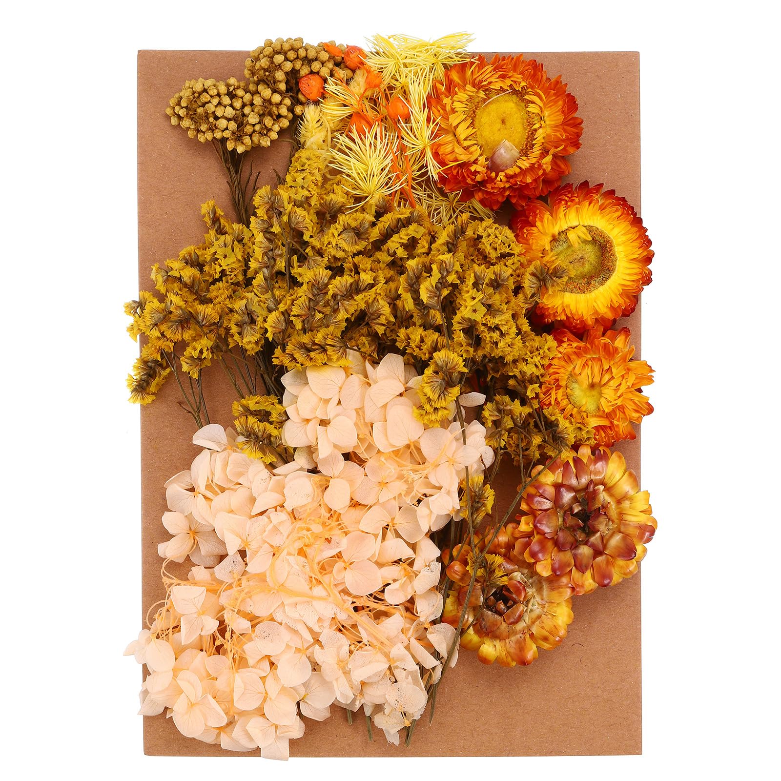 PATIKIL Pressed Flowers for Craft, Bulk Dried Flowers Natural Pressed Flowers Leaves for Resin Soap Candle Scrapbooking DIY Gift Papermaking, Orange Series