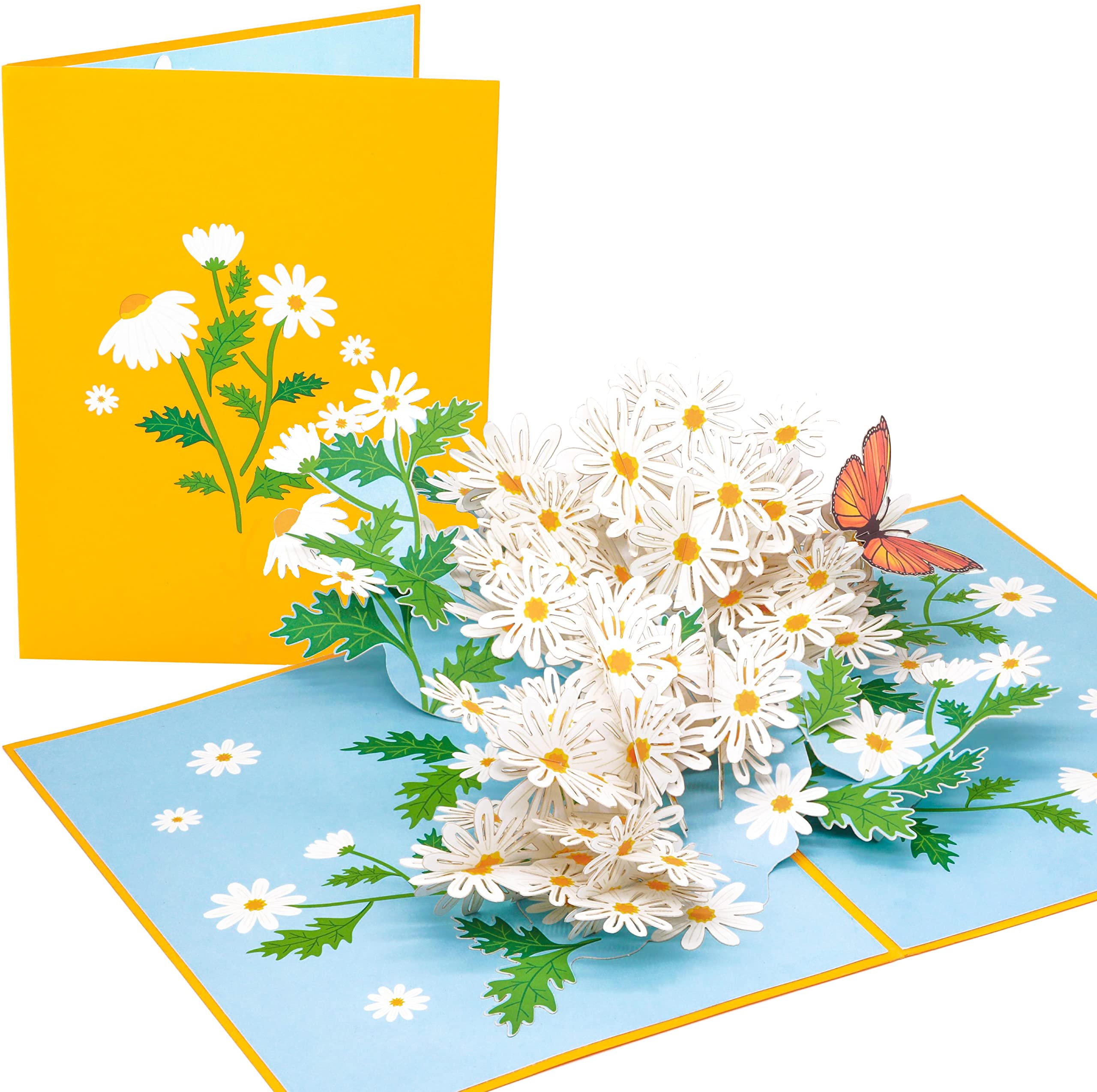 PopLife Daisy Flowers Pop Up Mother's Day Card - 3D Anniversary, Pop Up Birthday Card, Thank You, Congratulations, Valentine's - for Mom, for Daughter, for Wife, for Grandma, for Stepmom