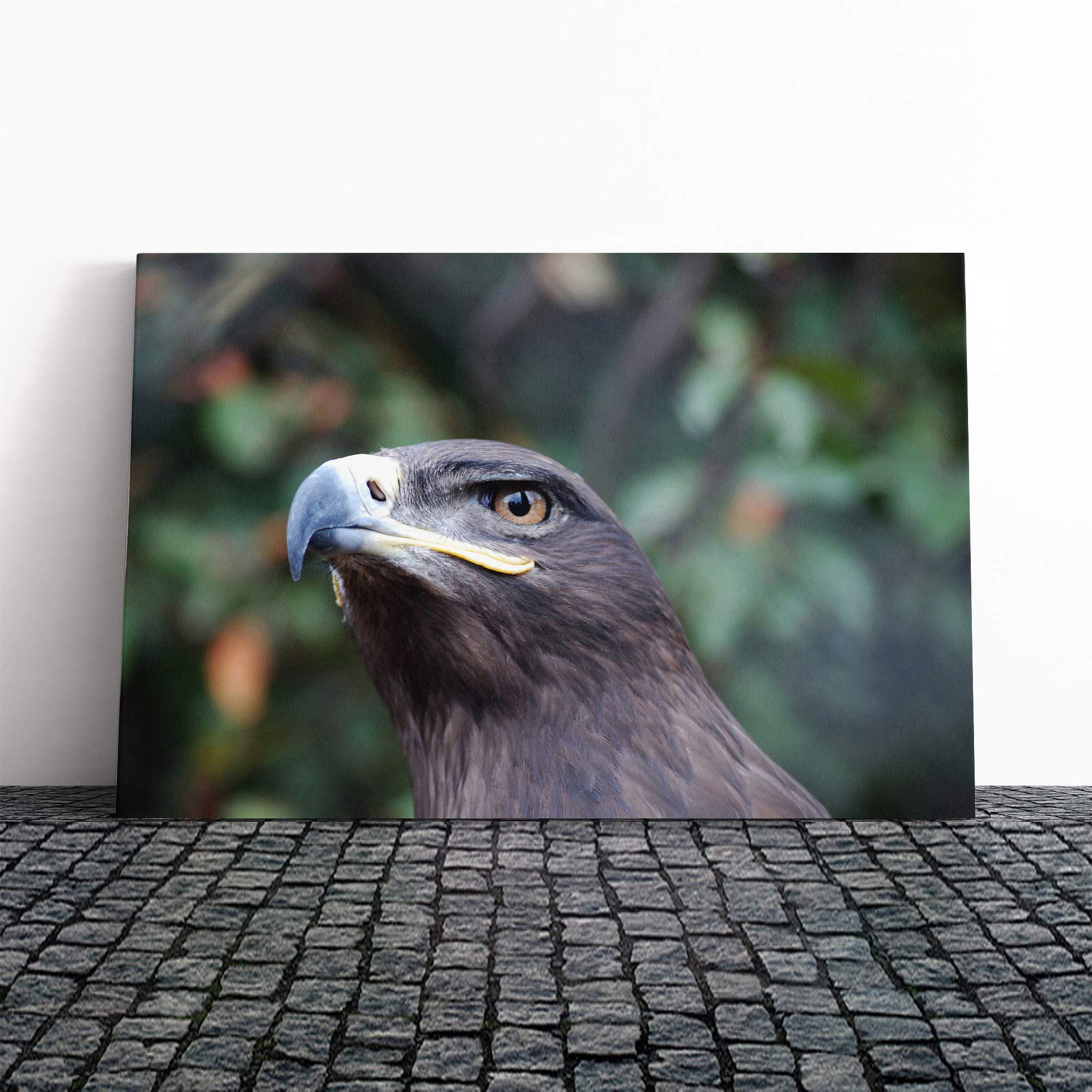 Steppe Eagle Bird Canvas Print | Gallery Wrapped 30mm Frame Wall Art | 20x14 inches | Ready to Hang | Modern Animals Picture | Living Room Bedroom Lounge Office