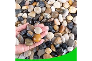 CJGQ Pebbles for Plants 3 lb Natural Garden Decorative Stone Outdoor Aquariums Gravel 1-1.5 Inches