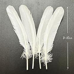 50pcs White Feathers 8~10 in,Beautiful Bulk Long